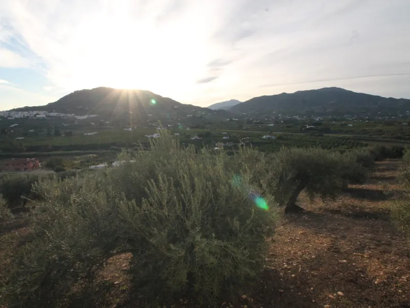 Plot - Residential Plot в продаже в Alora, Málaga. Площадь дома 330 м². Площадь участка 10000 м²