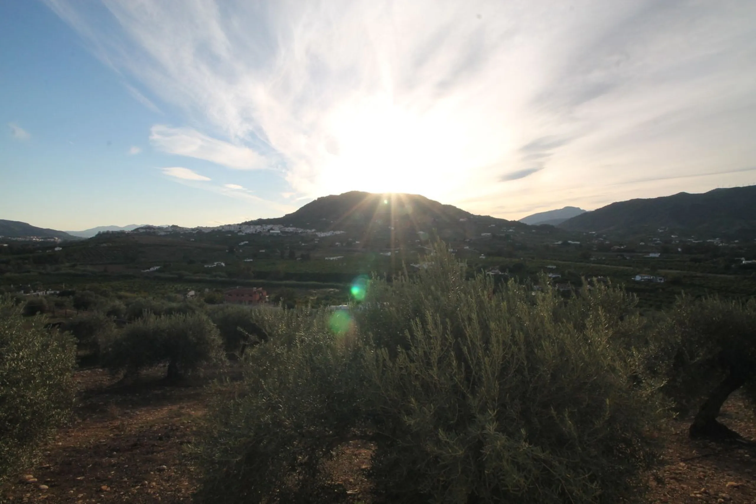 Plot - Residential Plot в продаже в Alora, Málaga. Площадь дома 330 м². Площадь участка 10000 м²