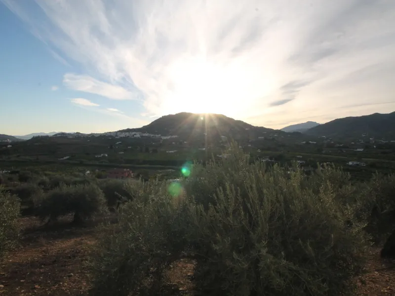 Plot - Residential Plot в продаже в Alora, Málaga. Площадь дома 330 м². Площадь участка 10000 м²