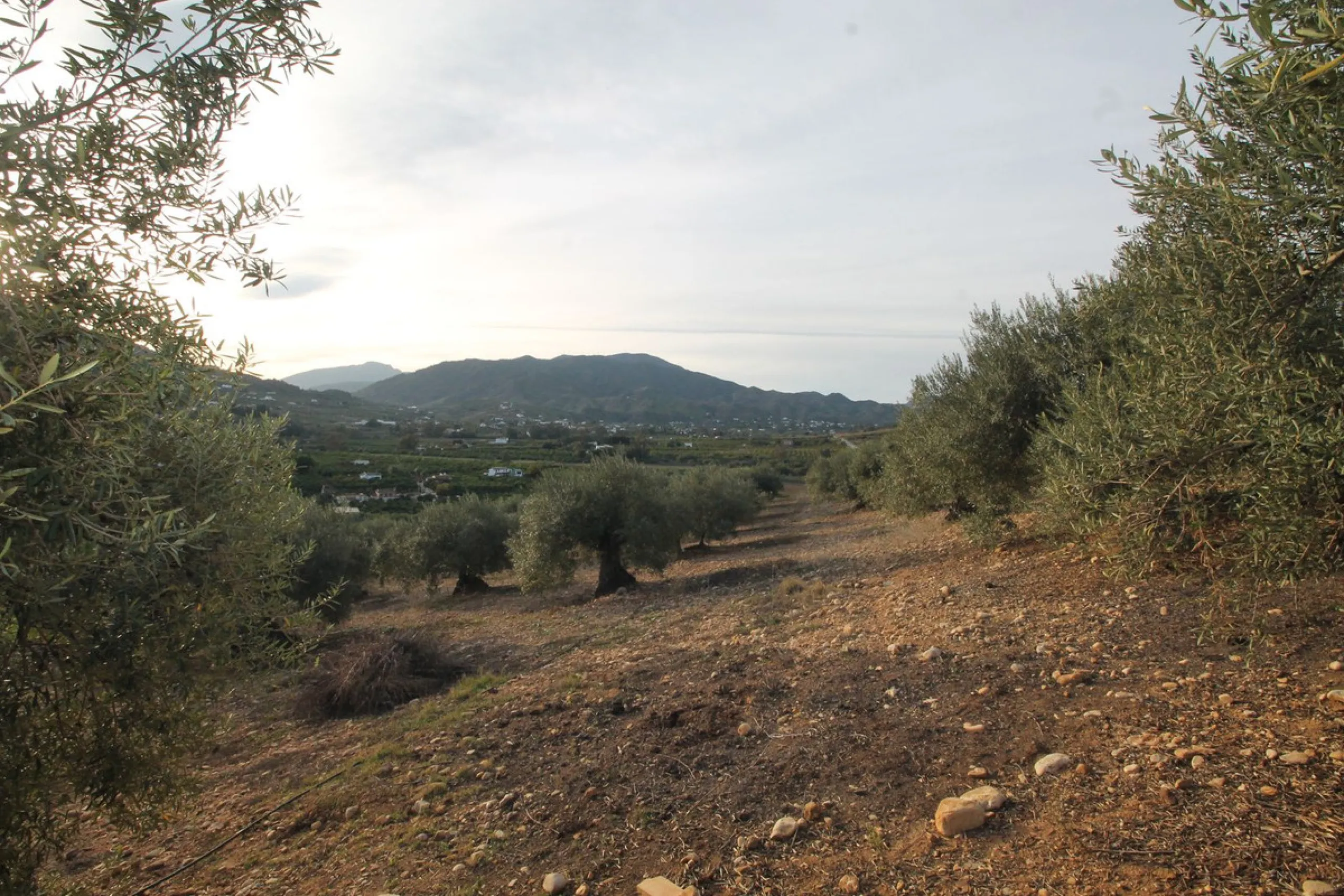 Plot - Residential Plot в продаже в Alora, Málaga. Площадь дома 330 м². Площадь участка 10000 м²