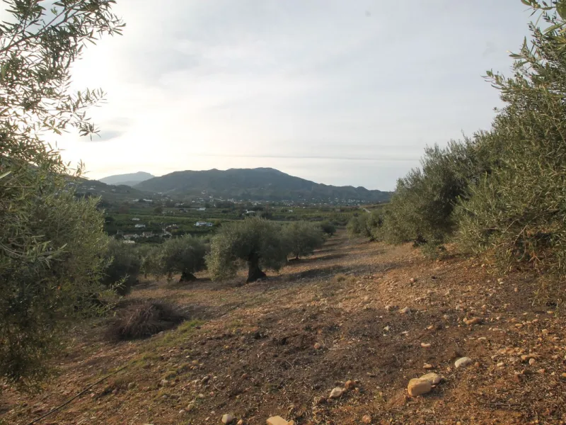 Plot - Residential Plot в продаже в Alora, Málaga. Площадь дома 330 м². Площадь участка 10000 м²