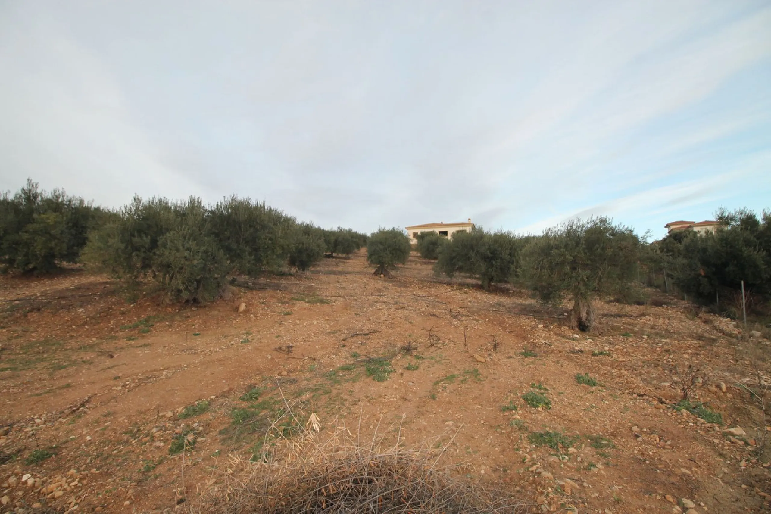 Plot - Residential Plot в продаже в Alora, Málaga. Площадь дома 330 м². Площадь участка 10000 м²