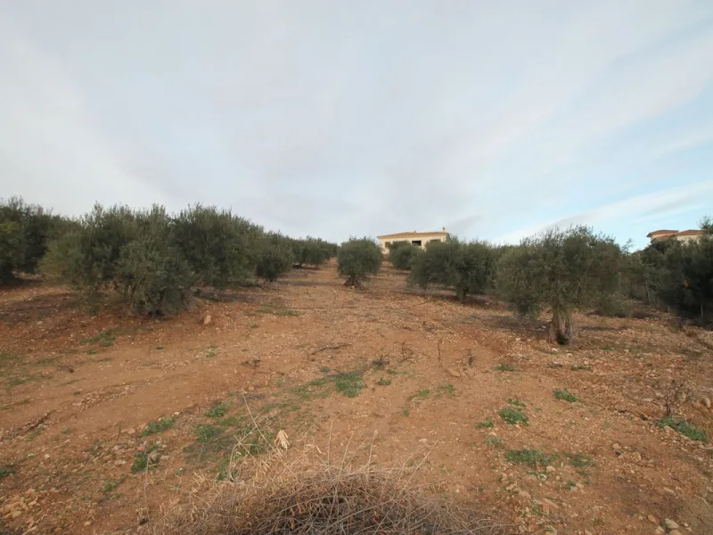 Plot - Residential Plot в продаже в Alora, Málaga. Площадь дома 330 м². Площадь участка 10000 м²