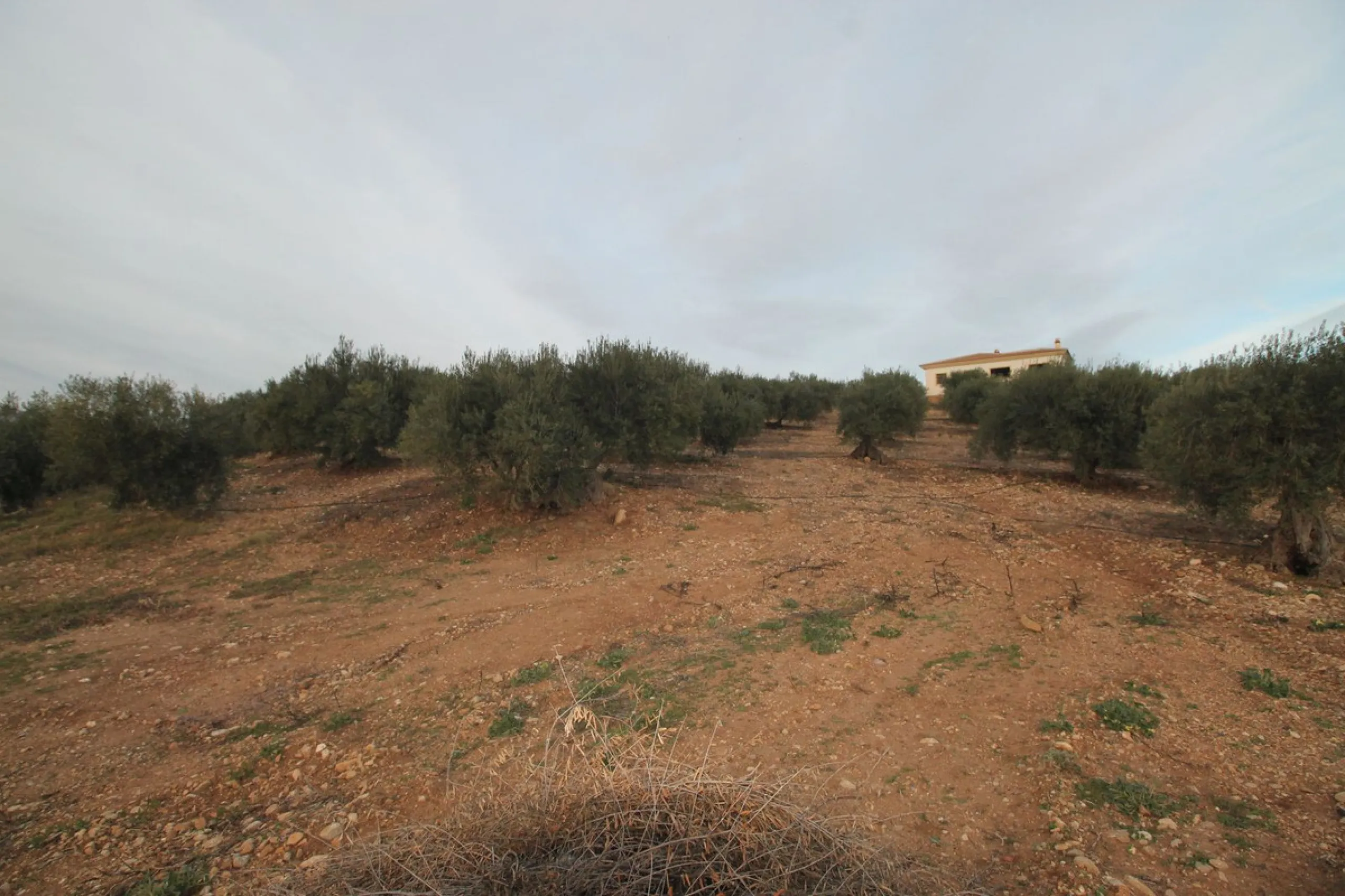 Plot - Residential Plot в продаже в Alora, Málaga. Площадь дома 330 м². Площадь участка 10000 м²