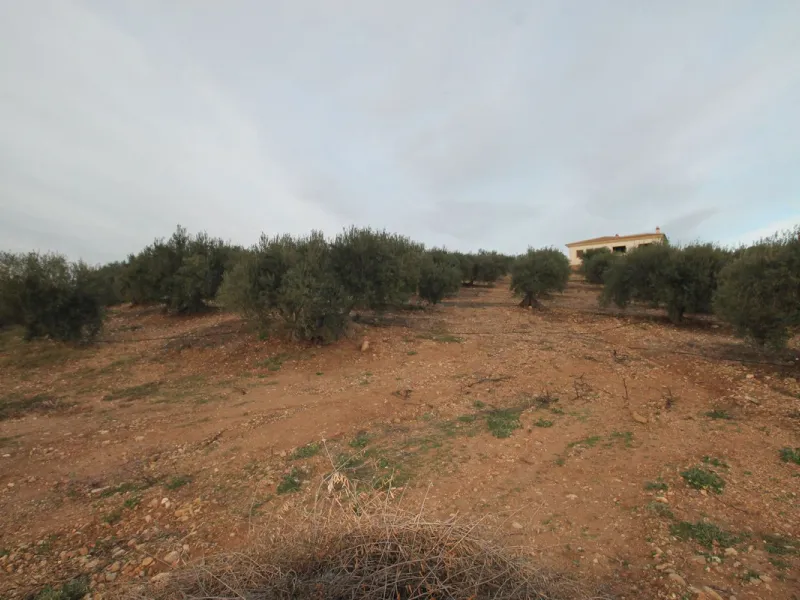 Plot - Residential Plot в продаже в Alora, Málaga. Площадь дома 330 м². Площадь участка 10000 м²