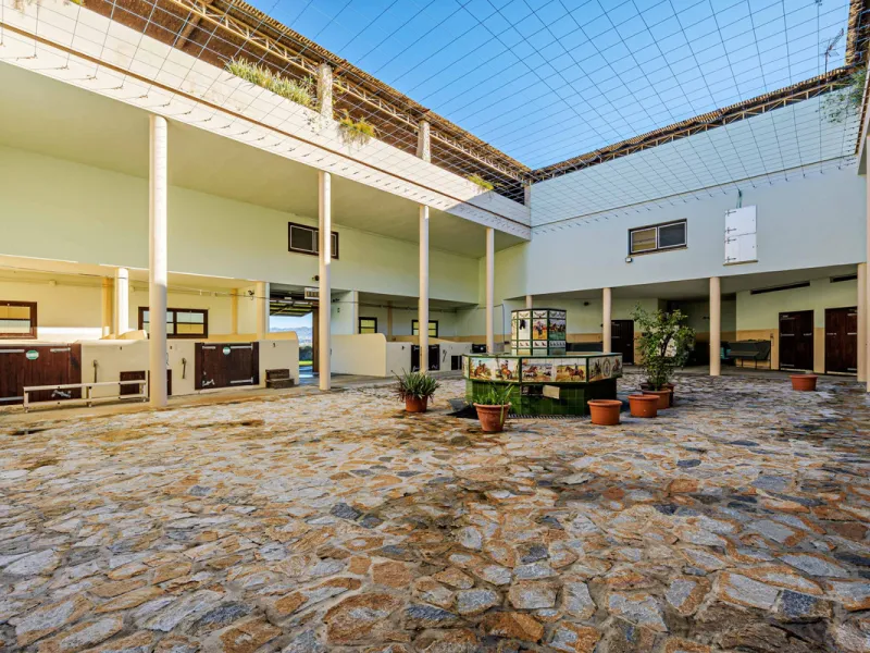 Spectacular estate located in Alhaurín de la Torre, surrounded by nature and extensive farmland, offering maximum privacy, spaciousness, and breathtaking open views over the valley and the mountains. The property enjoys a peaceful and privileged setting j