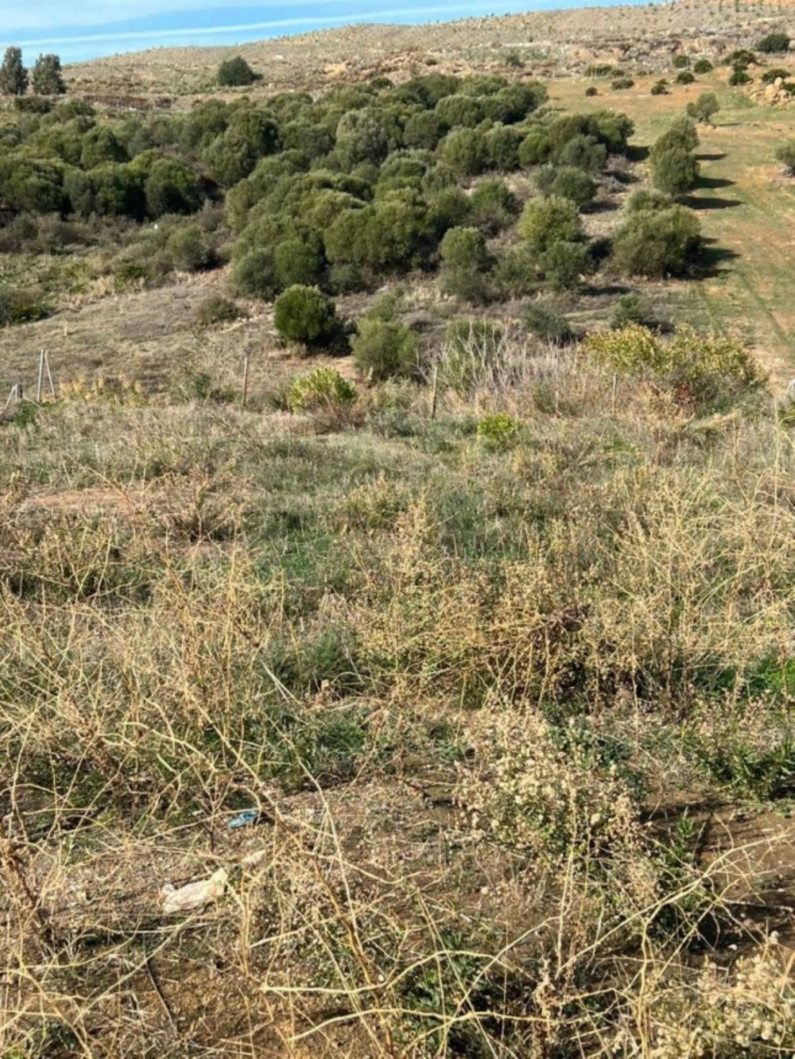 Residential Plot, Las Chapas, Costa del Sol.