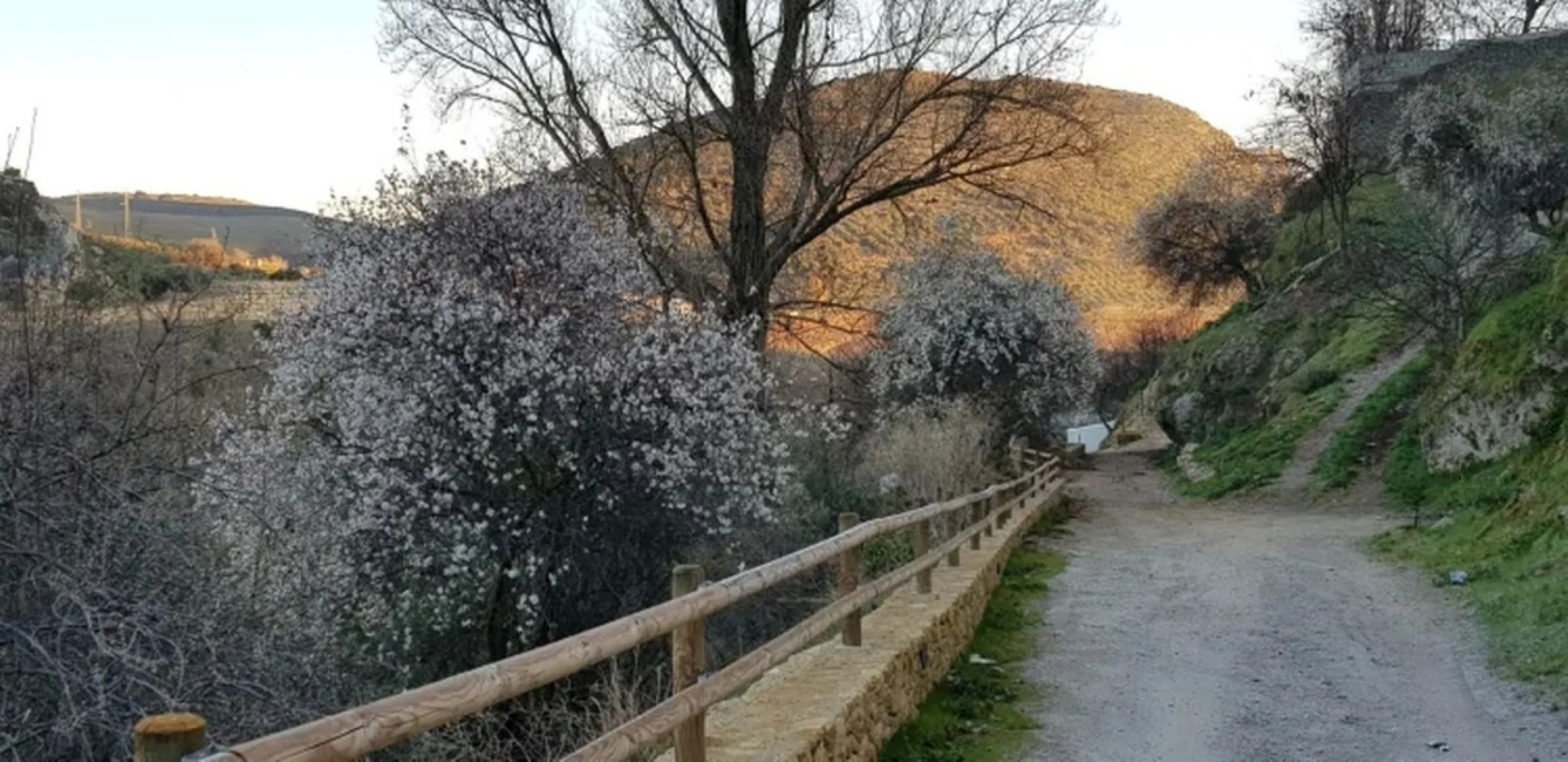 A cortijo dating back to the early 20th century, originally home to an old soap factory, now tastefully restored and converted into a tourist accommodation complex.
