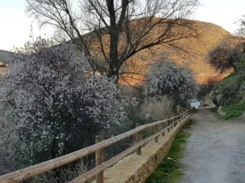 A cortijo dating back to the early 20th century, originally home to an old soap factory, now tastefully restored and converted into a tourist accommodation complex.