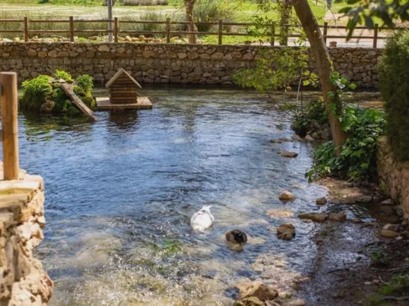 A cortijo dating back to the early 20th century, originally home to an old soap factory, now tastefully restored and converted into a tourist accommodation complex.