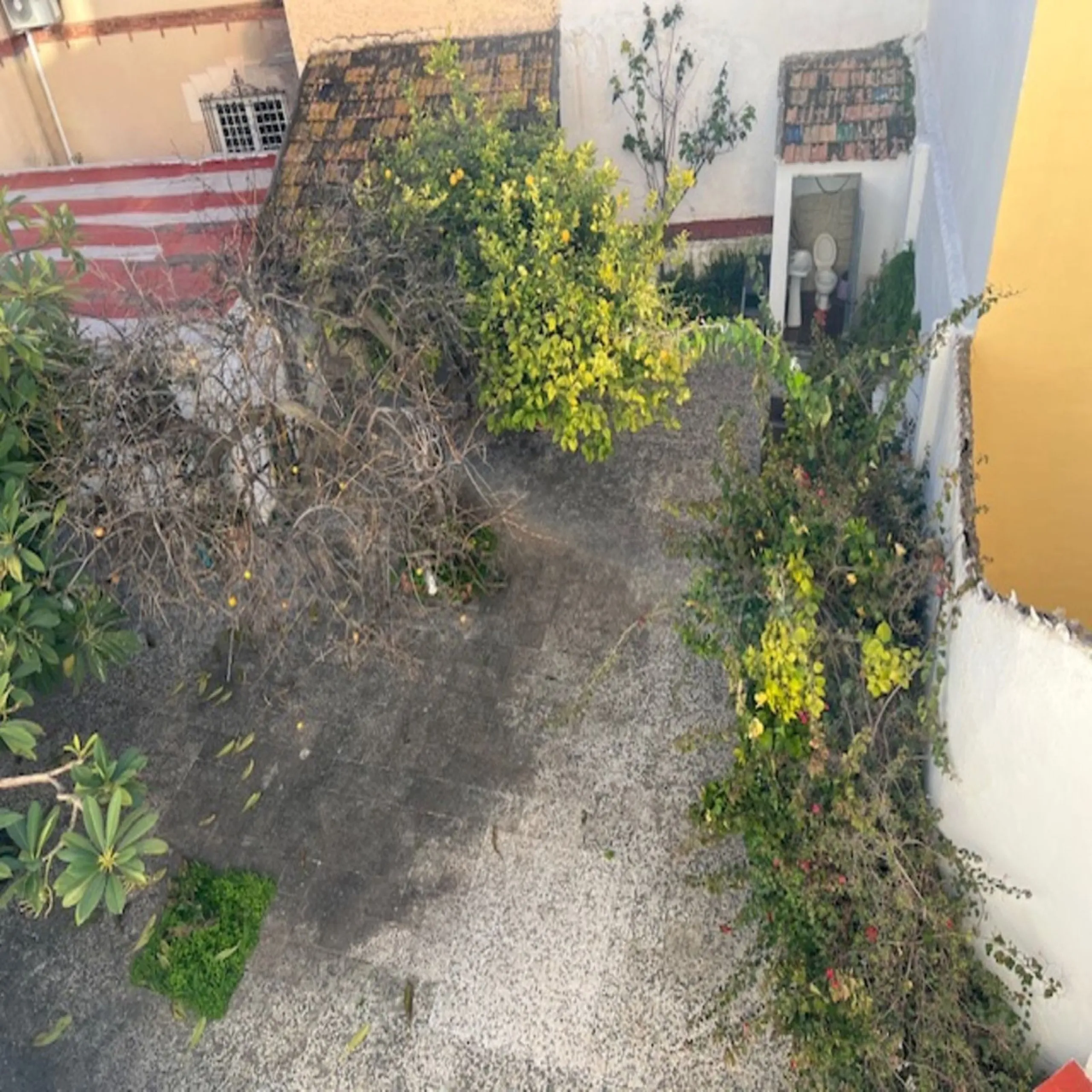 Large house almost in the center of Malaga.