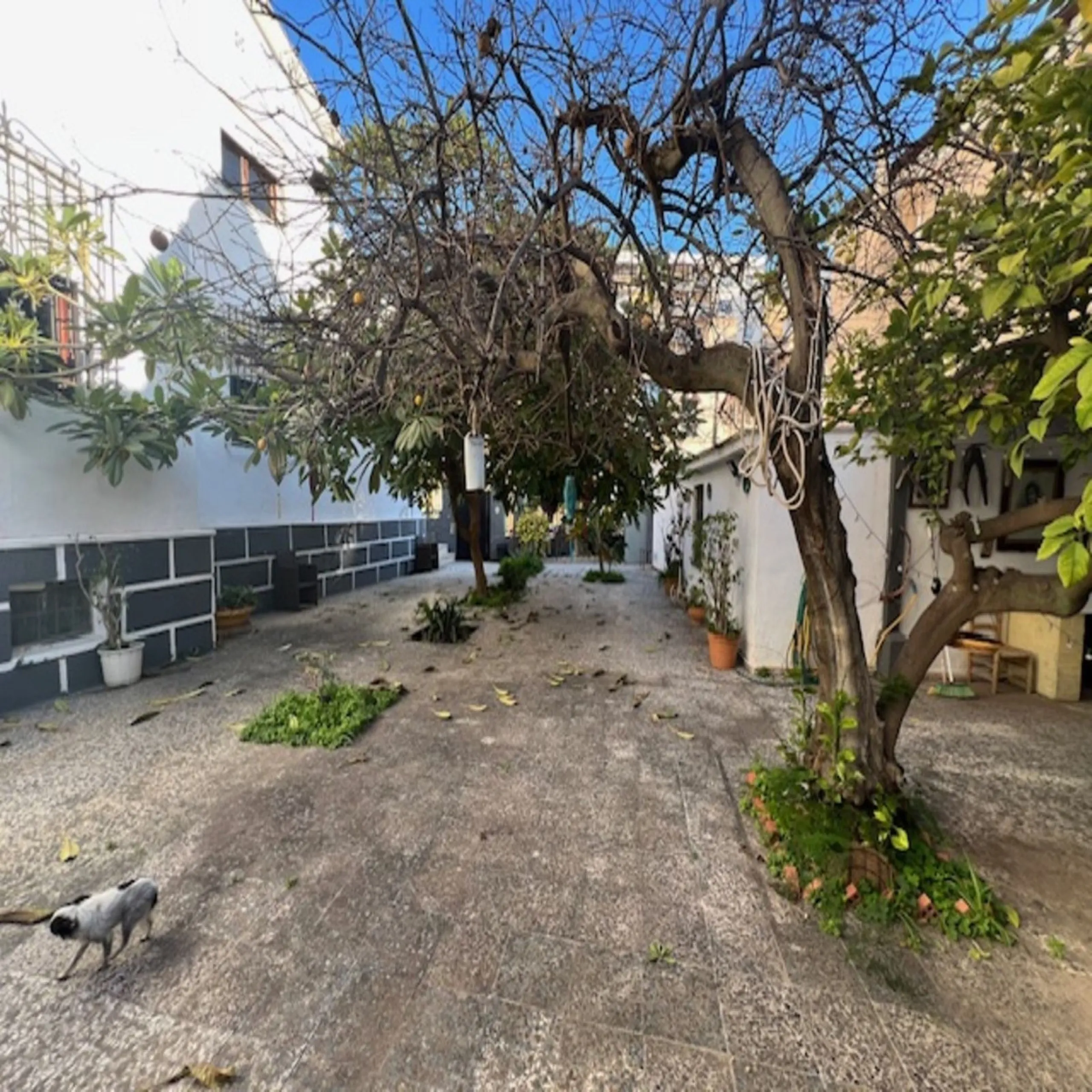 Large house almost in the center of Malaga.