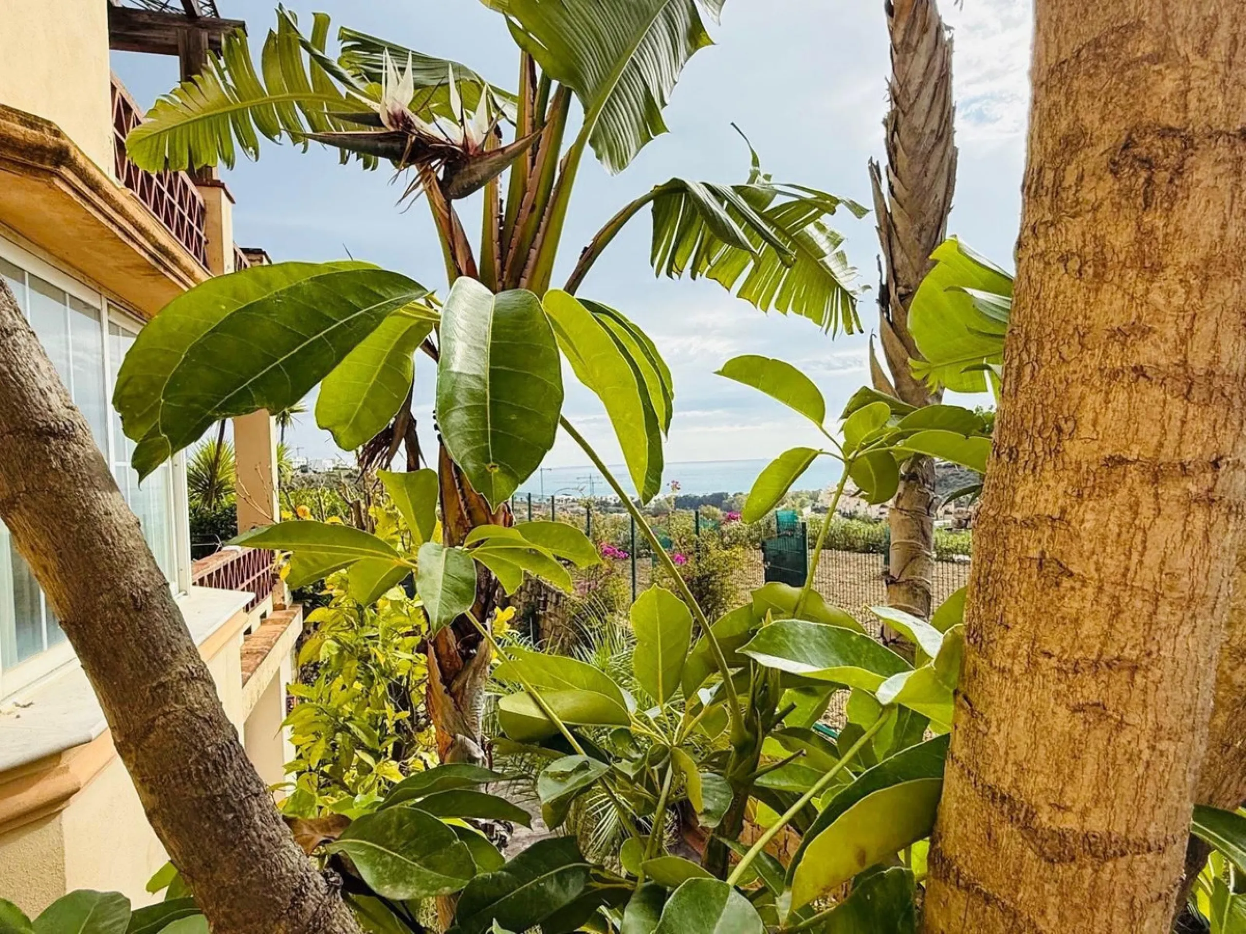 Exclusive opportunity in Casares.