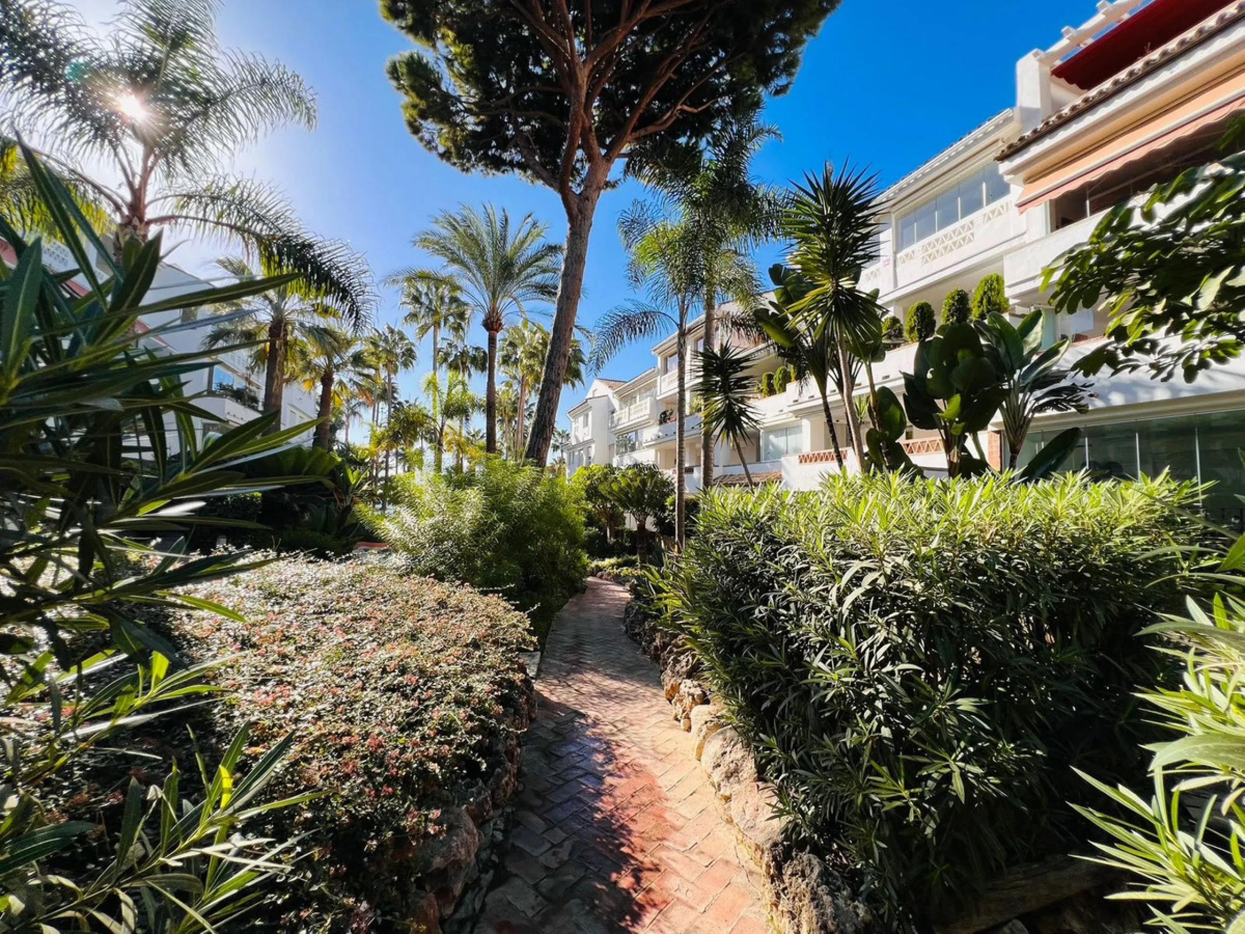Beachfront Apartment in Las Cañas Beach
