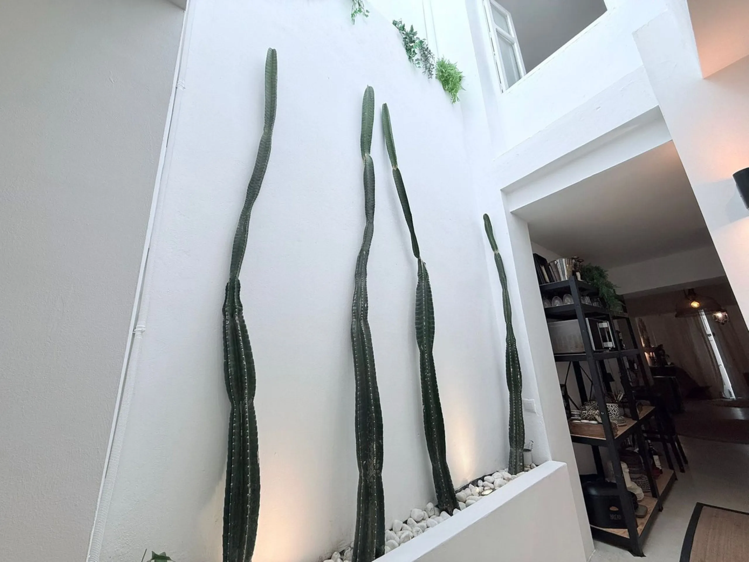 New to the Market | Stunning Renovated Townhouse in an Exceptional Central Location