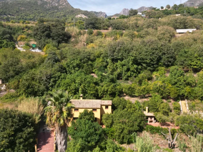 Country house with a total interior surface, in very good condition, with over 19,503 sqm of lush gardens and mature trees, completely gated. Ideal for a first or a second residence, one can enjoy there the peace and total privacy of a perfect green oasis