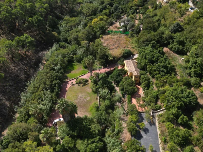 Country house with a total interior surface, in very good condition, with over 19,503 sqm of lush gardens and mature trees, completely gated. Ideal for a first or a second residence, one can enjoy there the peace and total privacy of a perfect green oasis
