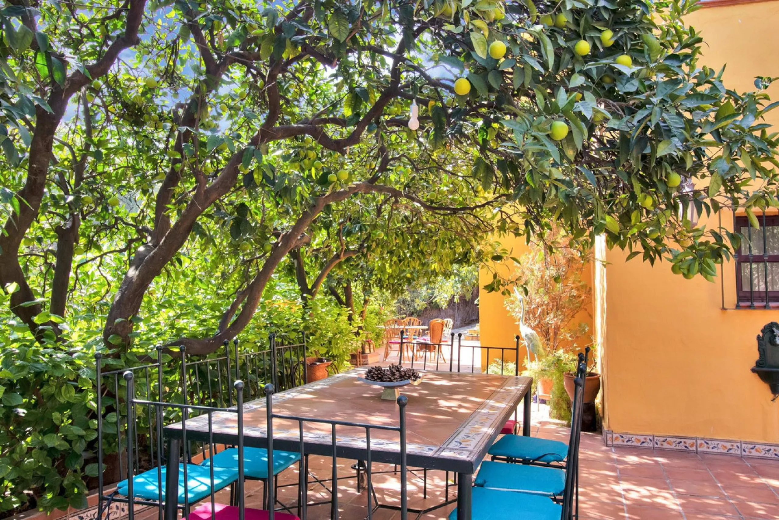 Country house with a total interior surface, in very good condition, with over 19,503 sqm of lush gardens and mature trees, completely gated. Ideal for a first or a second residence, one can enjoy there the peace and total privacy of a perfect green oasis