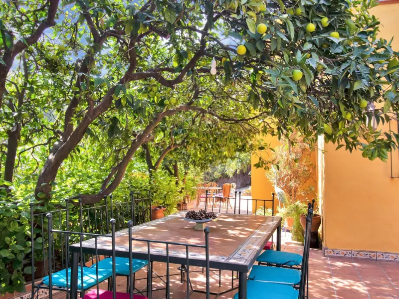 Country house with a total interior surface, in very good condition, with over 19,503 sqm of lush gardens and mature trees, completely gated. Ideal for a first or a second residence, one can enjoy there the peace and total privacy of a perfect green oasis