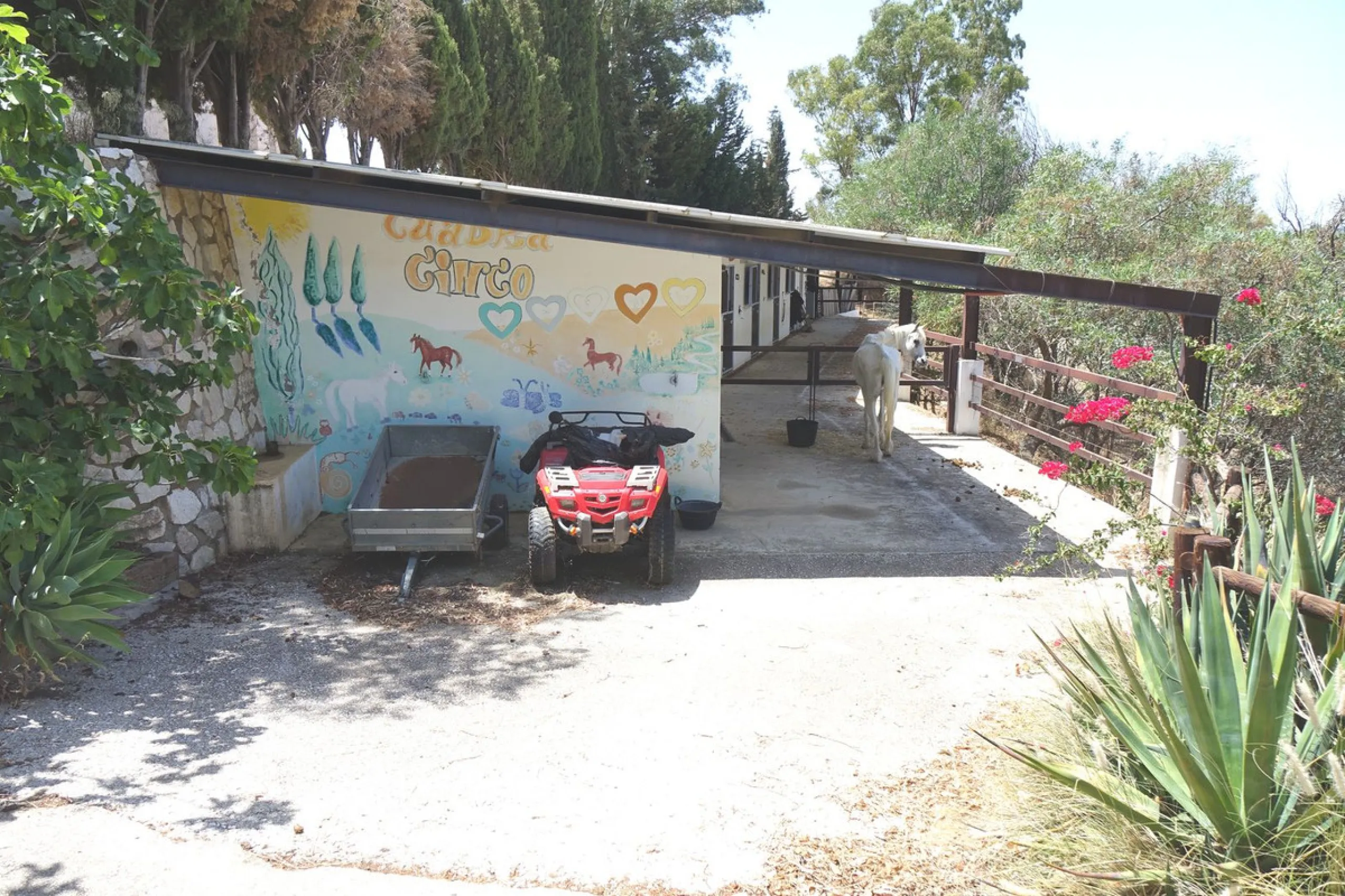Finca set below the urbanisation of Valtocado in 4 hectares of private land.  The Finca is approximately 50 years old, but was fully reformed 15 years ago.