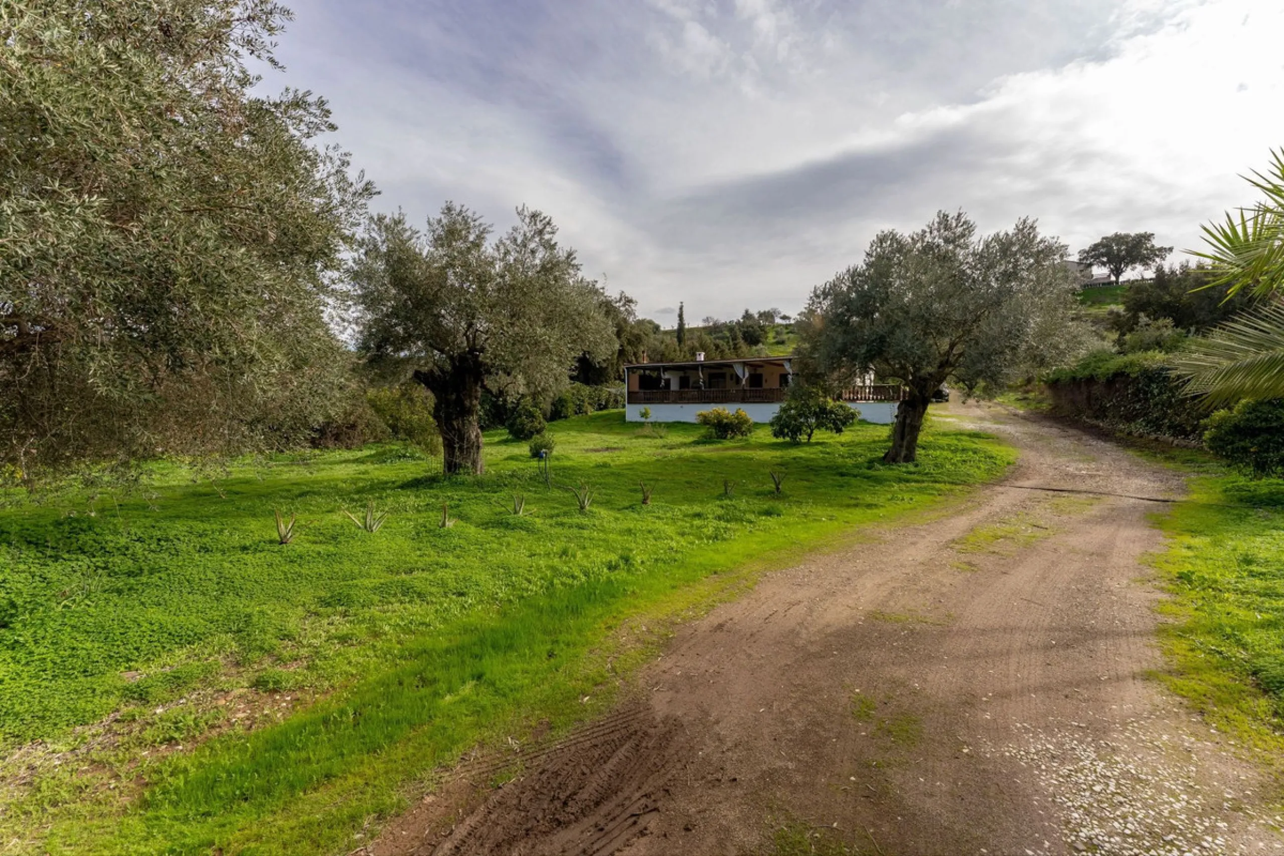 Set in a peaceful and natural environment in the countryside of Monda, this detached single-storey country home offers privacy, space, and authentic rural living, all with good access and town water. The property sits on a generous rustic plot of approx. 