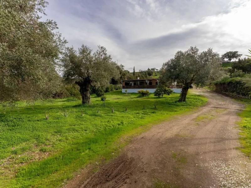 Set in a peaceful and natural environment in the countryside of Monda, this detached single-storey country home offers privacy, space, and authentic rural living, all with good access and town water. The property sits on a generous rustic plot of approx. 