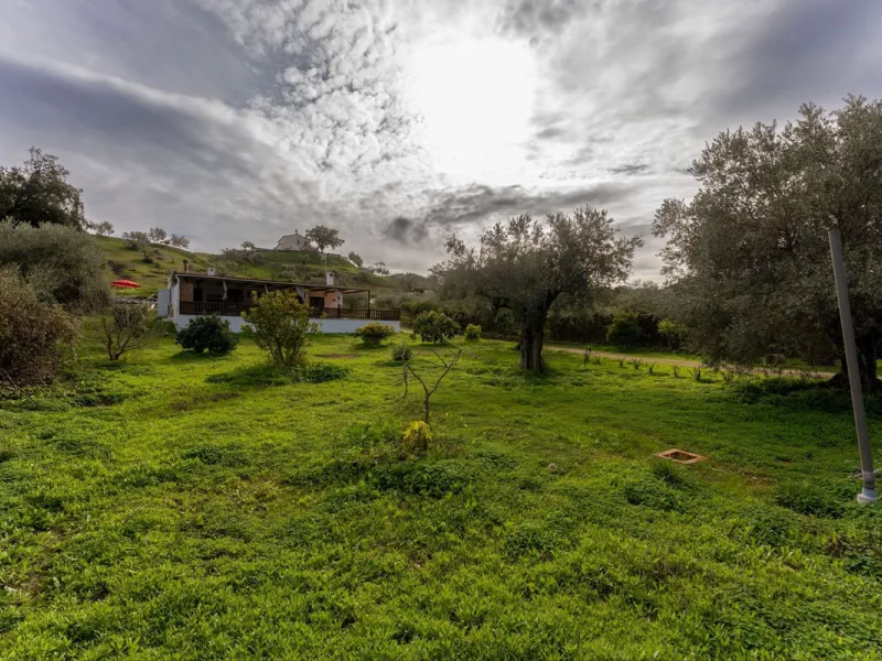 Set in a peaceful and natural environment in the countryside of Monda, this detached single-storey country home offers privacy, space, and authentic rural living, all with good access and town water. The property sits on a generous rustic plot of approx. 