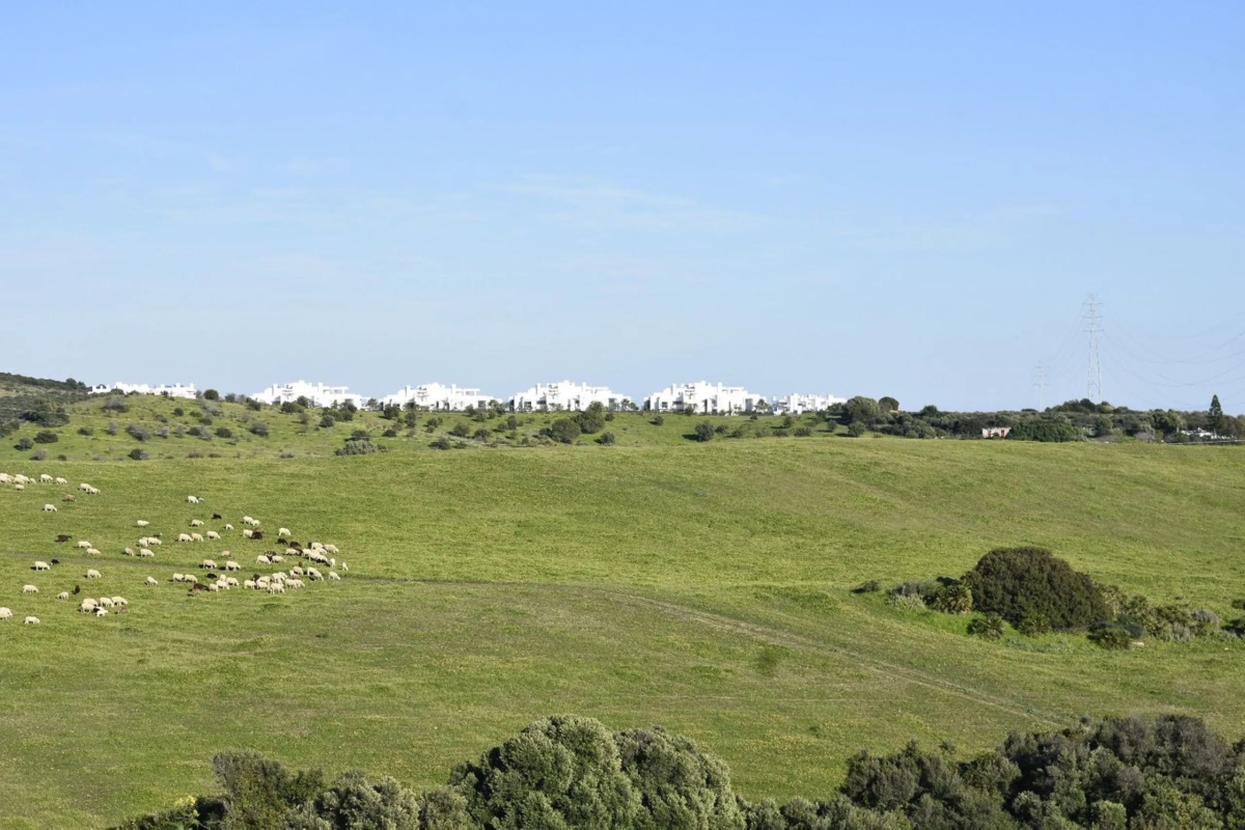 Cortijo for Sale in Casares – 25,000 m² Plot with Panoramic Sea Views near Finca Cortesín