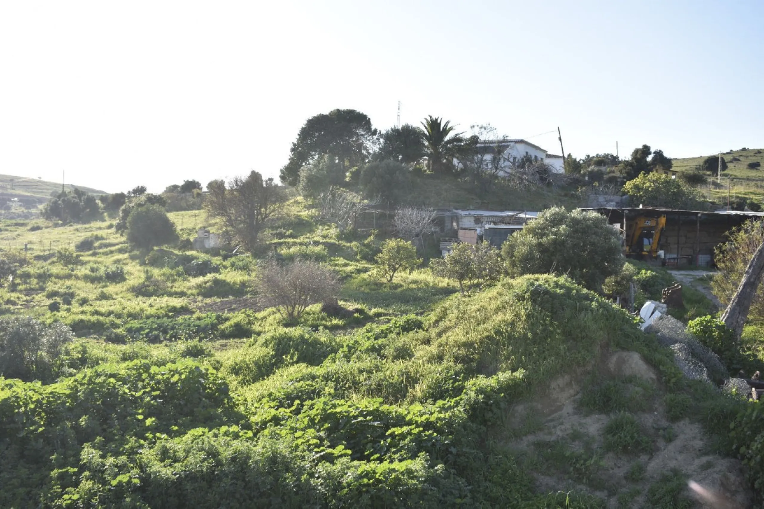 Cortijo for Sale in Casares – 25,000 m² Plot with Panoramic Sea Views near Finca Cortesín