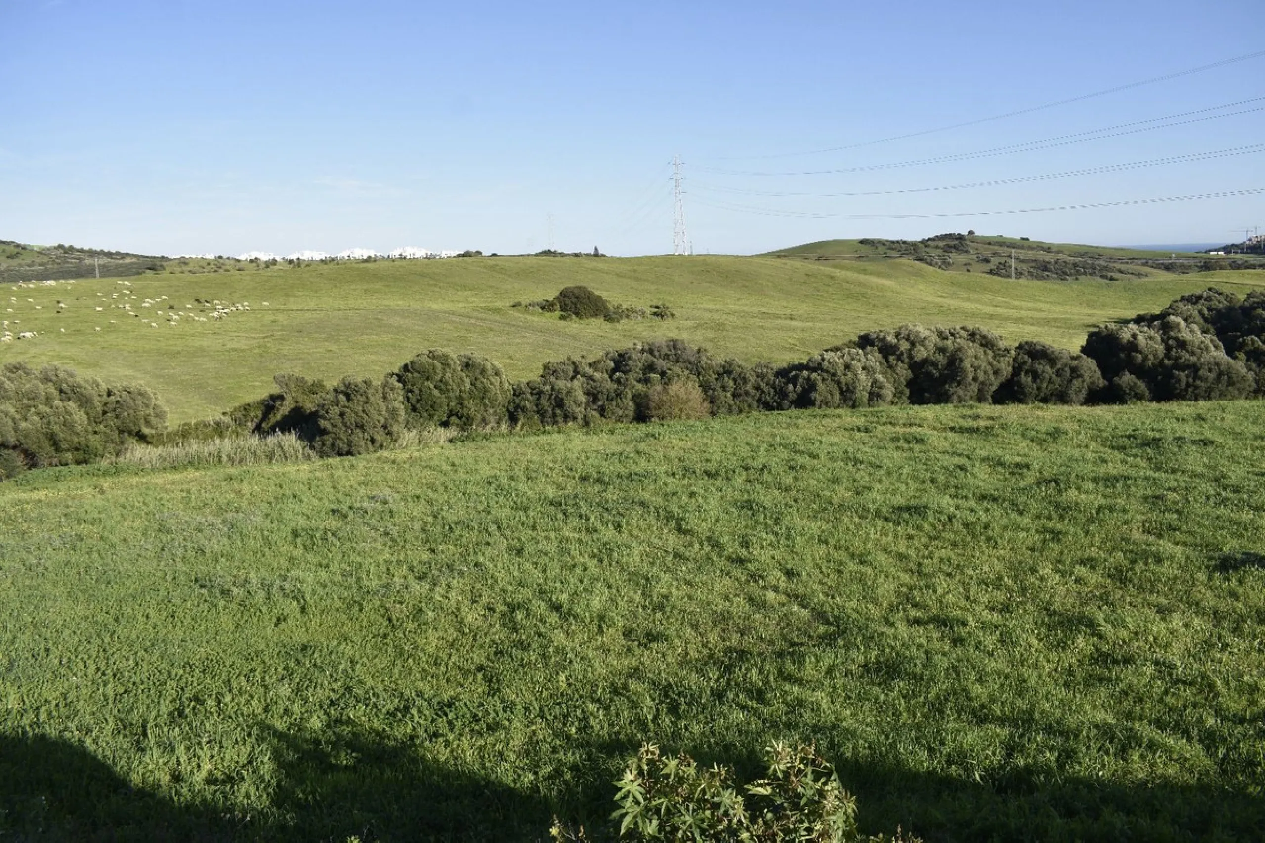 Cortijo for Sale in Casares – 25,000 m² Plot with Panoramic Sea Views near Finca Cortesín