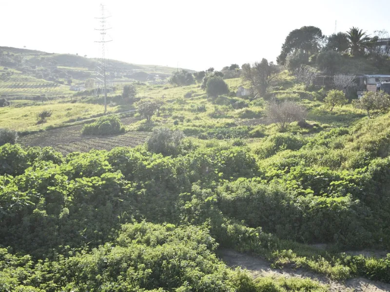 Cortijo for Sale in Casares – 25,000 m² Plot with Panoramic Sea Views near Finca Cortesín