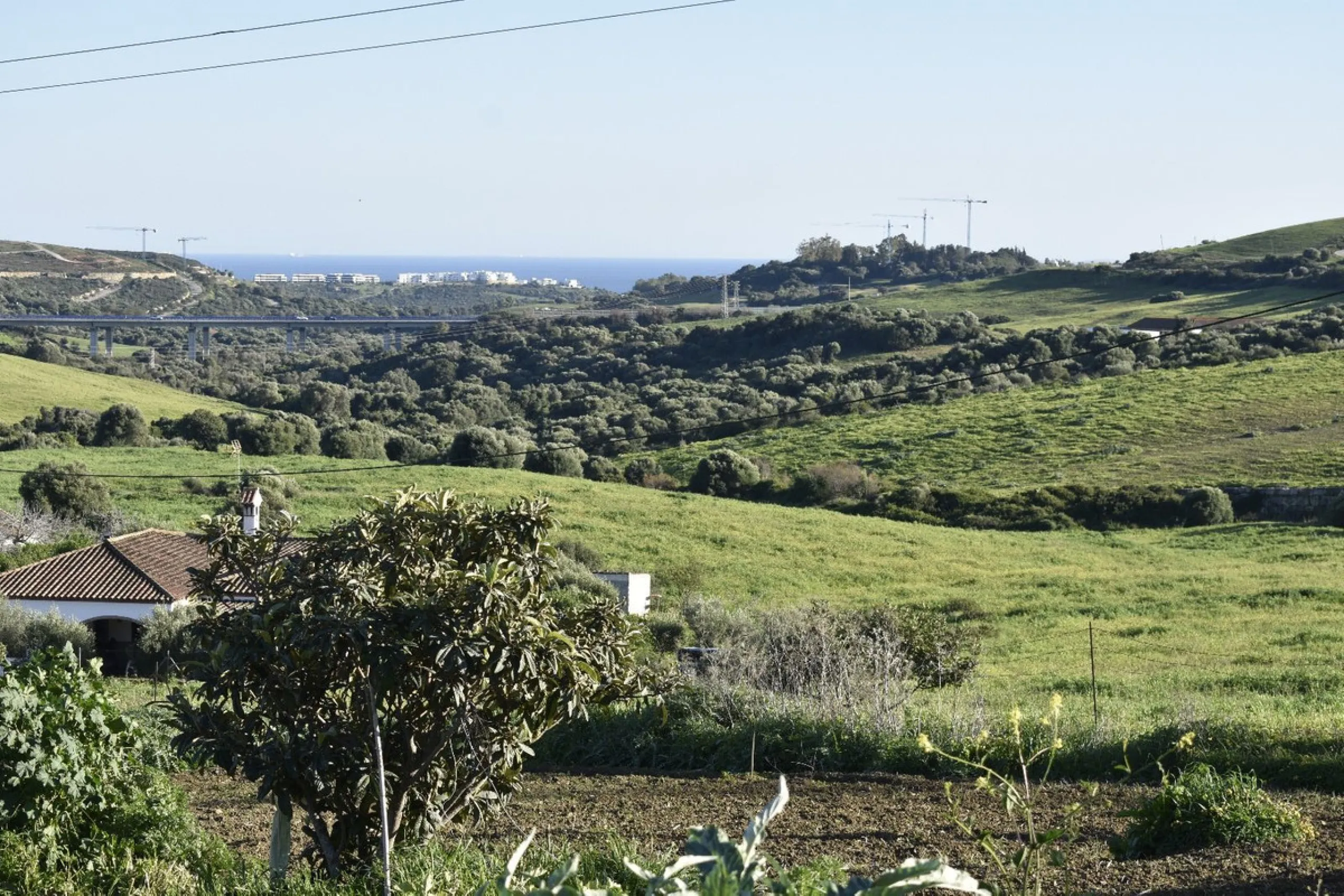 Cortijo for Sale in Casares – 25,000 m² Plot with Panoramic Sea Views near Finca Cortesín