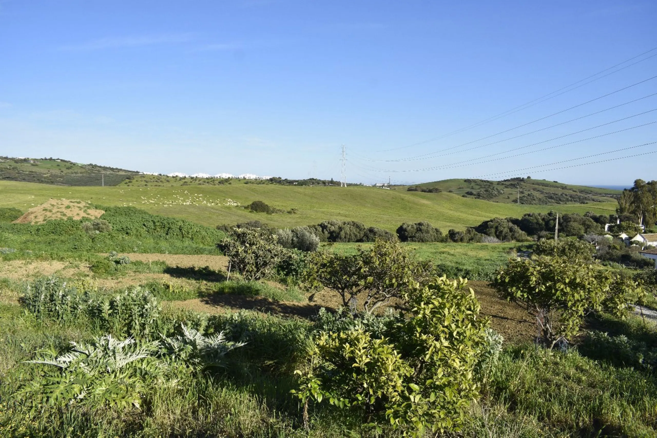 Cortijo for Sale in Casares – 25,000 m² Plot with Panoramic Sea Views near Finca Cortesín