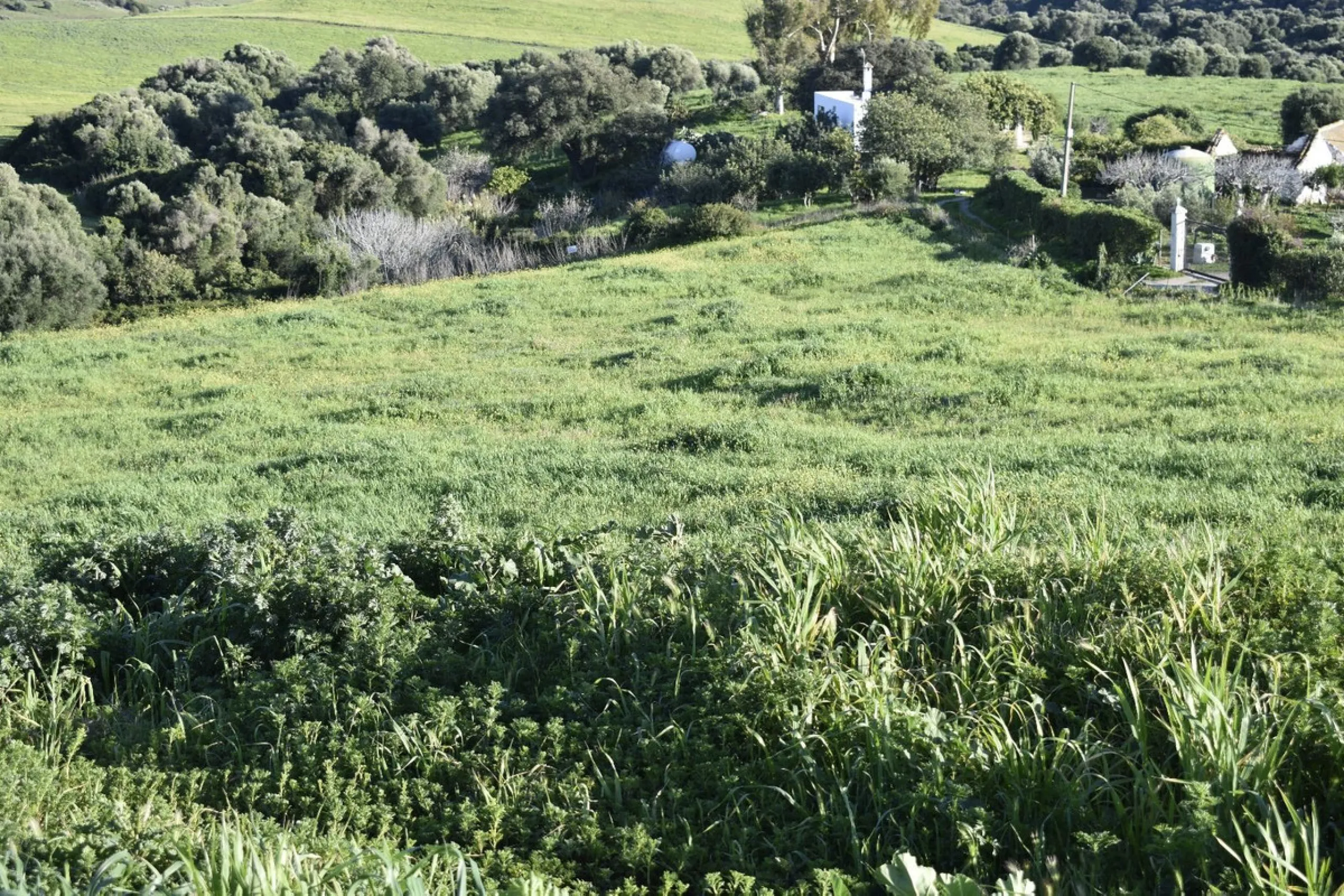 Cortijo for Sale in Casares – 25,000 m² Plot with Panoramic Sea Views near Finca Cortesín
