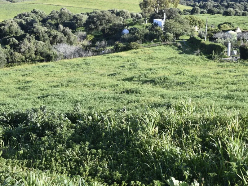 Cortijo for Sale in Casares – 25,000 m² Plot with Panoramic Sea Views near Finca Cortesín