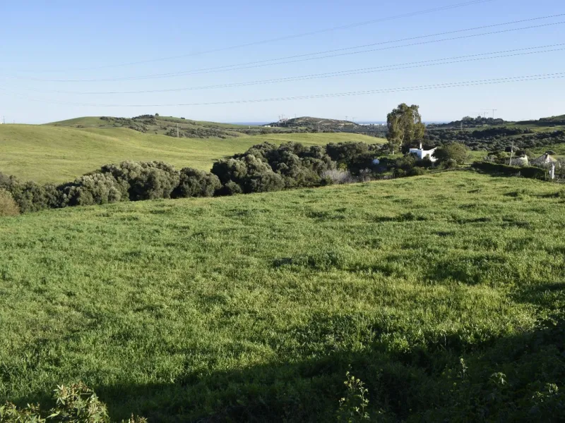 Cortijo for Sale in Casares – 25,000 m² Plot with Panoramic Sea Views near Finca Cortesín