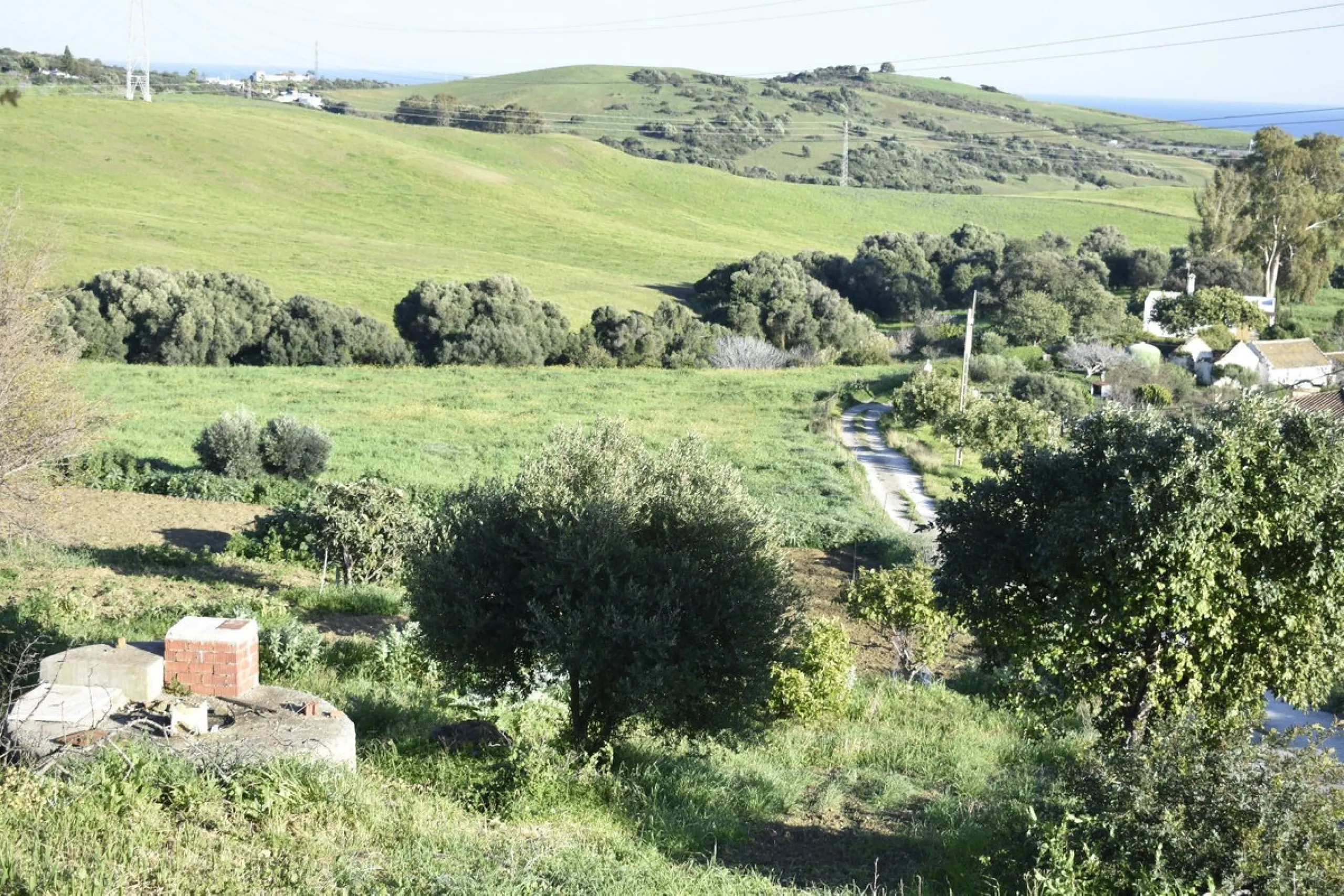 Cortijo for Sale in Casares – 25,000 m² Plot with Panoramic Sea Views near Finca Cortesín