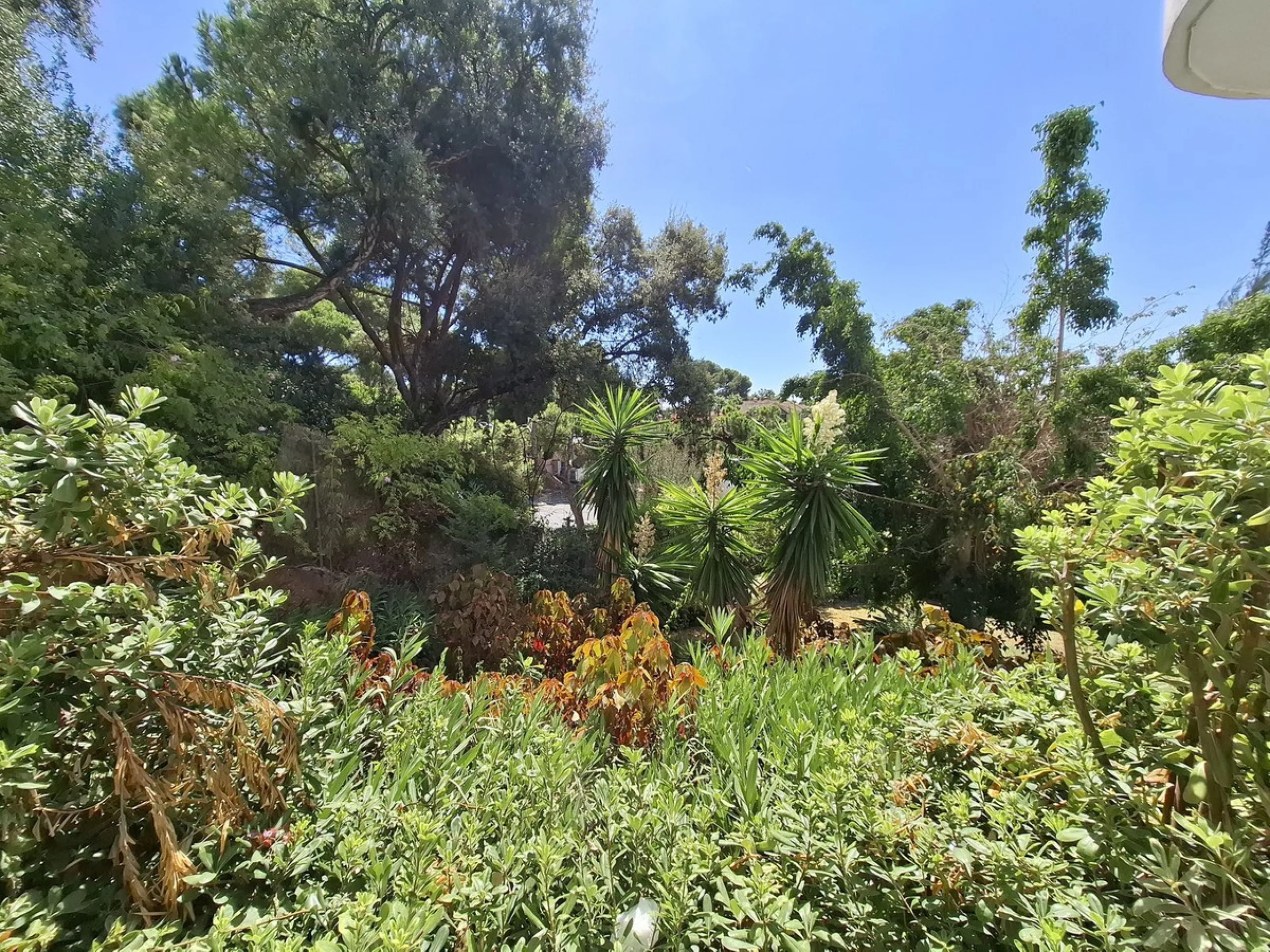 Corner ground-floor apartment with great potential and garden in Río Real, Marbella