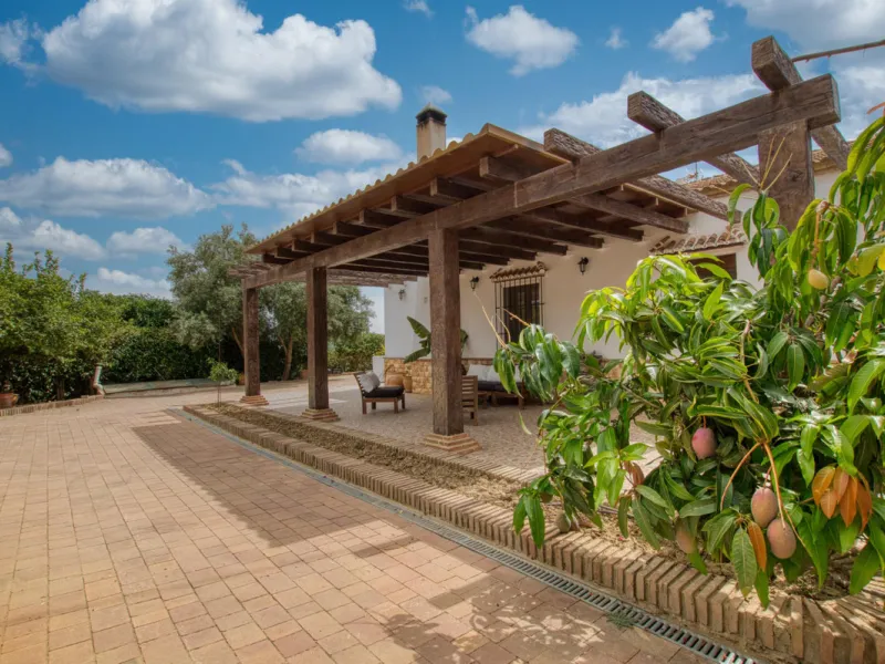 Discover your own Andalusian paradise in this magnificent estate, a haven of peace and comfort designed to enjoy life to the fullest. Set on a generous 1,574 m2 plot, surrounded by olive trees and nature, this property offers unparalleled privacy and an i