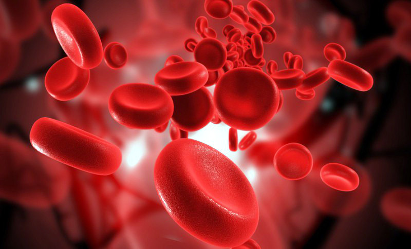 Qan azlığı immunitetə təsir edir?