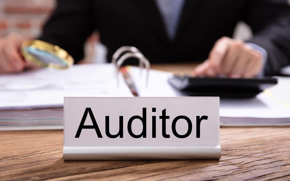 Bu agentlik auditor seçir