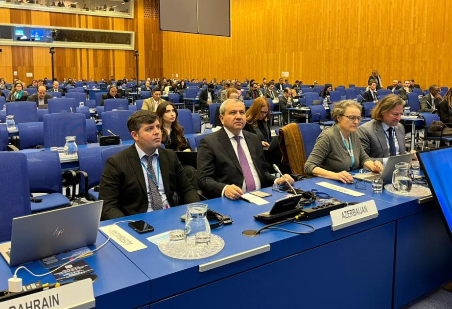 BDU-nun nümayəndə heyəti BMT-nin COPUOS Elm və Texnika Altkomitəsinin sessiyasında təmsil olunub