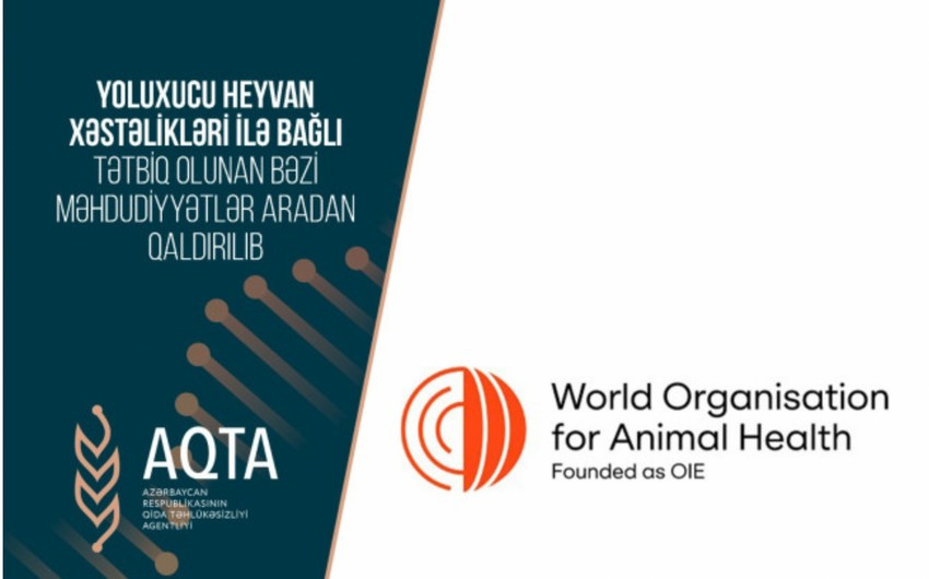 AQTA: Yoluxucu heyvan xəstəliklərindən qorunmaq məqsədilə məhdudiyyətlər aradan qaldırılıb