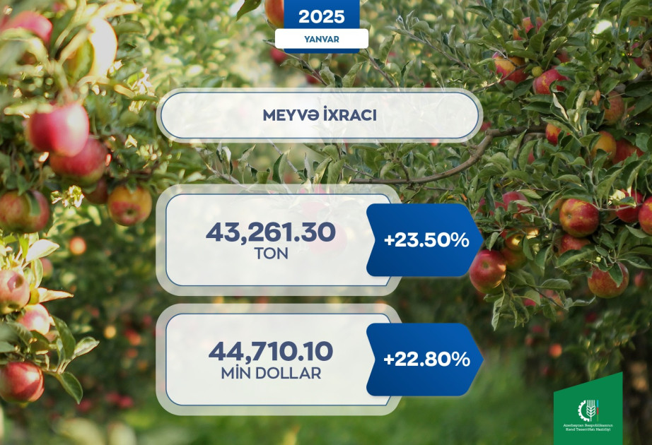 KTN: Ölkəmizdə meyvə ixracatının həcmi 23,5% artıb