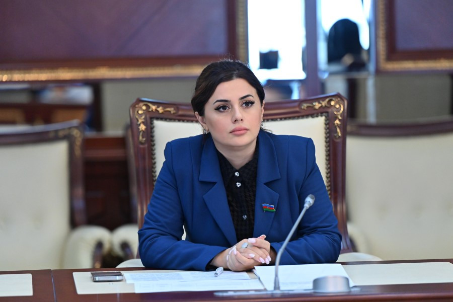 “Azərbaycan öz milli maraqlarını qoruyur və inkişaf etdirir”