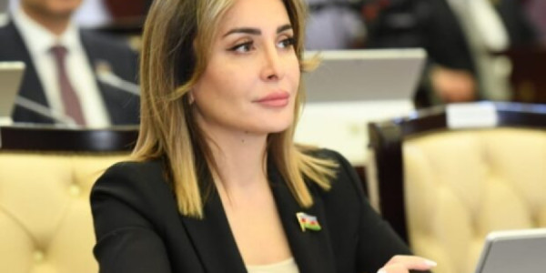 Nigar Məmmədova: Cəbrayılın azad olunması sonrakı hərbi əməliyyatlar üçün yeni imkanlar yaratdı