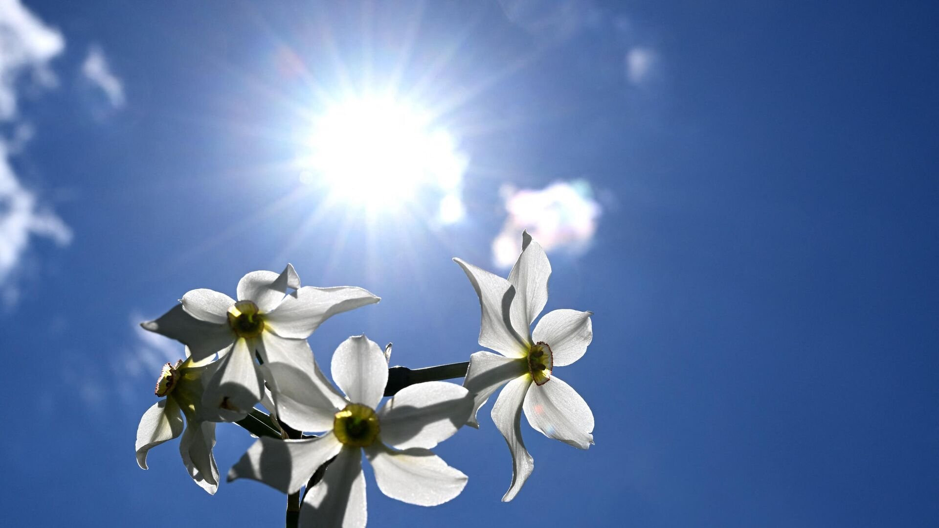 8 Mart gününün hava proqnozu açıqlanıb Martın 8-də gözlənilən hava şəraiti açıqlanıb.