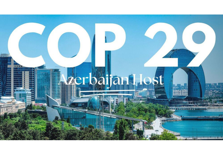 COP29 və Azərbaycan ekologiyası: İqlim dəyişikliyi ilə mübarizədə ölkənin strateji yanaşmaları