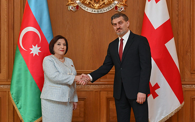 Sahibə Qafarova Gürcüstan prezidenti ilə görüşdü