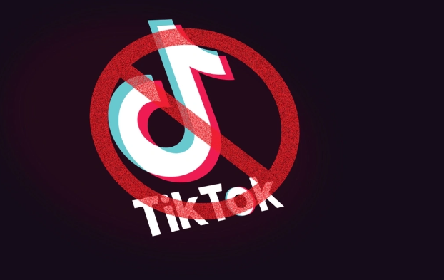 Bu ölkədə "TikTok" 1 il müddətinə qadağan edildi